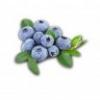 Flavor :  Blueberry by Elusto