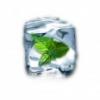 Flavor :  Menthol par ELUSTO