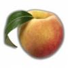 Flavor :  Peach by Elusto
