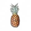 Flavor :  Pineapple by Elusto