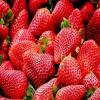 Flavor :  Strawberry Ripe by EnjoySvapo