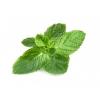 Flavor :  Menthe Poivree by Exarome