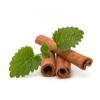Flavor :  Cannelle Menthe by Excellence Flavor