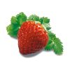 Flavor :  Fraise by Excellence Flavor
