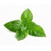 Flavor :  Menthe Verte by Excellence Flavor