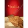 Flavor :  Virginia by Excellence Flavor