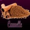 Flavor :  Cannelle by Excellium Juice