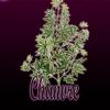 Flavor :  Chanvre by Excellium Juice