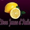 Flavor :  Citron Jaune Italie by Excellium Juice