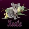 Flavor :  Koala by Excellium Juice