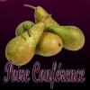 Flavor :  Poire Conference by Excellium Juice