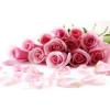 Flavor :  Rose by Excellium Juice