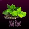 Flavor :  The Vert by Excellium Juice