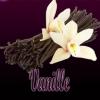 Flavor :  Vanille by Excellium Juice