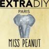 Flavor :  Miss Peanut by EXTRAPURE