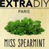 Flavor :  Miss Spearmint by EXTRAPURE