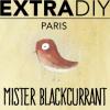 Flavor :  Mister Blackcurrant by EXTRAPURE
