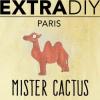 Flavor :  Mister Cactus by EXTRAPURE