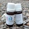 Flavor : French Pipe par EXTREME FLAVORS Flavor : French Pipe par EXTREME FLAVORS