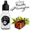 Flavor :  Menthe Eucalyptus by Fabriquer son Eliquide