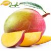 Flavor :  Mango par FLAVOR JUNGLE