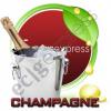 Flavor :  Champagne by Flavors Express