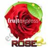 Flavor :  Rose by Flavors Express