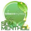 Flavor :  Slm Menthol by Flavors Express