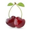 Flavor :  Ar Dark Cherry Pg by Flavor Shack