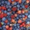 Flavor :  Berry Jubilee by Flavor Shack