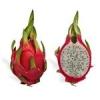 Flavor :  Dragon Fruit by Flavor Shack