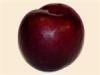 Flavor :  Plum by Flavor Shack