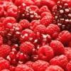 Flavor :  Pomegranate Surprise by Flavor Shack