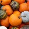 Flavor :  Pumpkin par FLAVOR SHACK