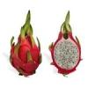 Flavor :  Shacks Expert Dragon Fruit by Flavor Shack