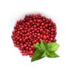 Flavor :  Teaberry Gum by Flavor Shack