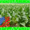 Flavor :  American Tobacco USA Blend by Flavor West