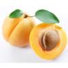Flavor : apricot by Flavor West Flavor : apricot by Flavor West