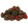 Arôme : Boysenberry
Dernière mise à jour le : 13-02-2016 Arôme : Boysenberry
Dernière mise à jour le : 13-02-2016