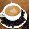 Flavor : Coffee W/cream
Last updated on : 04-06-2016 Flavor : Coffee W/cream
Last updated on : 04-06-2016
