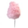 Flavor : cotton candy by Flavor West Flavor : cotton candy by Flavor West