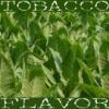 Arme :  Latakia Tobacco 
Dernire mise  jour le :  16-08-2017 