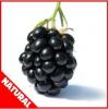 Flavor :  Natural Blackberry by Flavor West