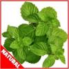 Flavor :  Natural Spearmint by Flavor West