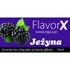 Flavor :  Blackberry by FlavorX