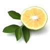 Arôme : Bergamot
Dernière mise à jour le : 10-01-2015 Arôme : Bergamot
Dernière mise à jour le : 10-01-2015