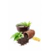 Flavor :  Black Tea by FlavourArt