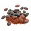 Arôme : Cocoa
Dernière mise à jour le : 29-01-2016 Arôme : Cocoa
Dernière mise à jour le : 29-01-2016