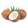 Flavor : coco (coconut) by FlavourArt Flavor : coco (coconut) by FlavourArt