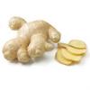 Flavor :  Ginger by FlavourArt